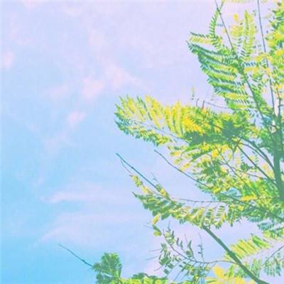 火线精英当乐下载